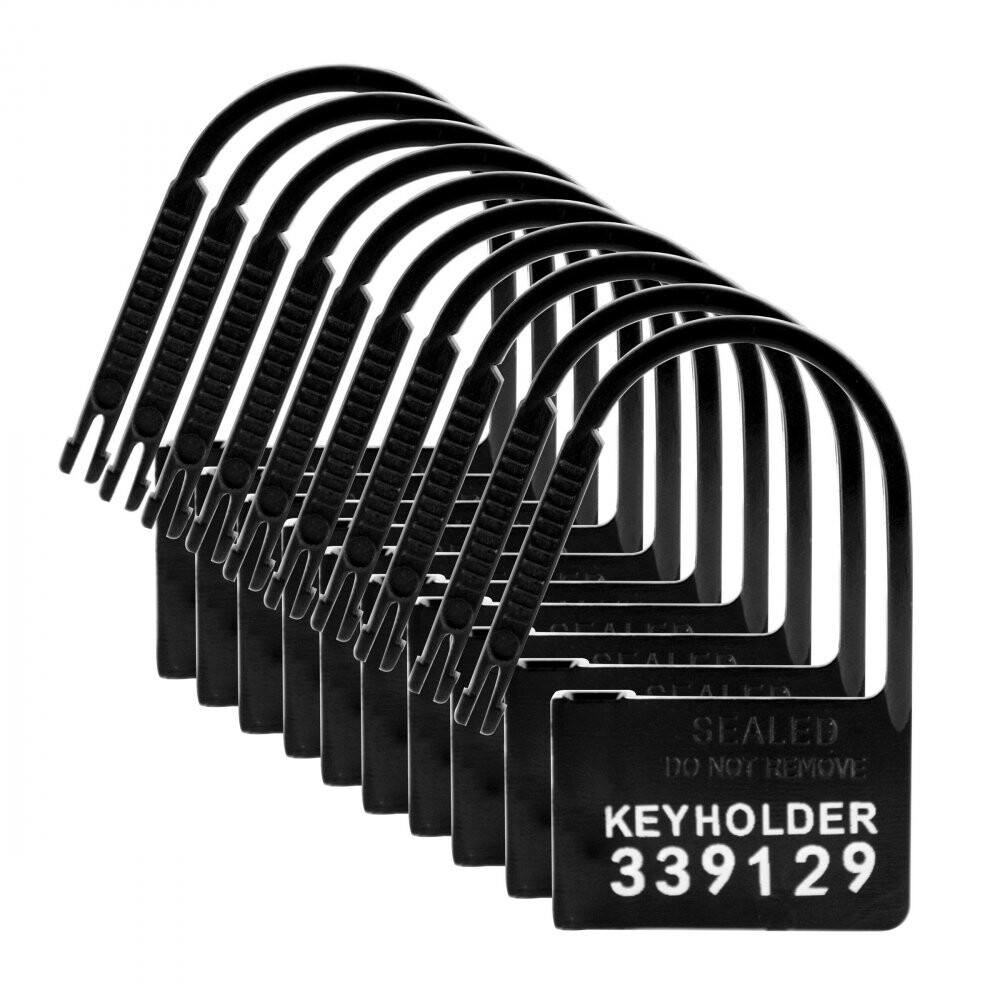 10 Pack of Locks for Chastity Devices